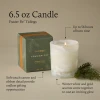 Frasier Fir TIDINGS Boxed Candle 6.5 oz