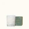 Frasier Fir TIDINGS Boxed VOTIVE(27069)