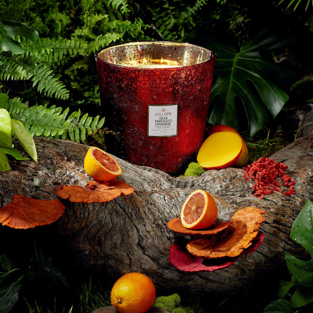 Voluspa Goji & Torocco Orange 5 Wick Hearth Candle - Breeze