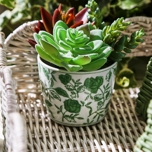 Green Cachepot asstd