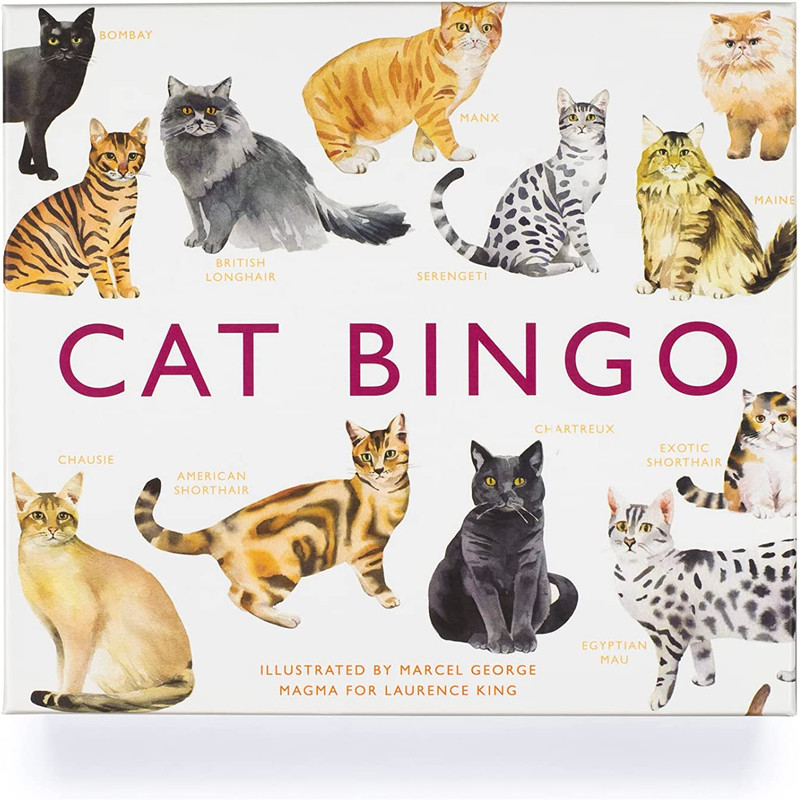 CAT Bingo