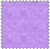 Canvas - Lilac
