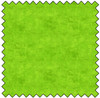Canvas - Lime Twist
