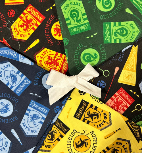 Harry Potter House Champions 5 FQ Bundle