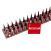 Mastertrap Anti Bird Spikes for Pigeons and Climbing Cats Clear Plastic