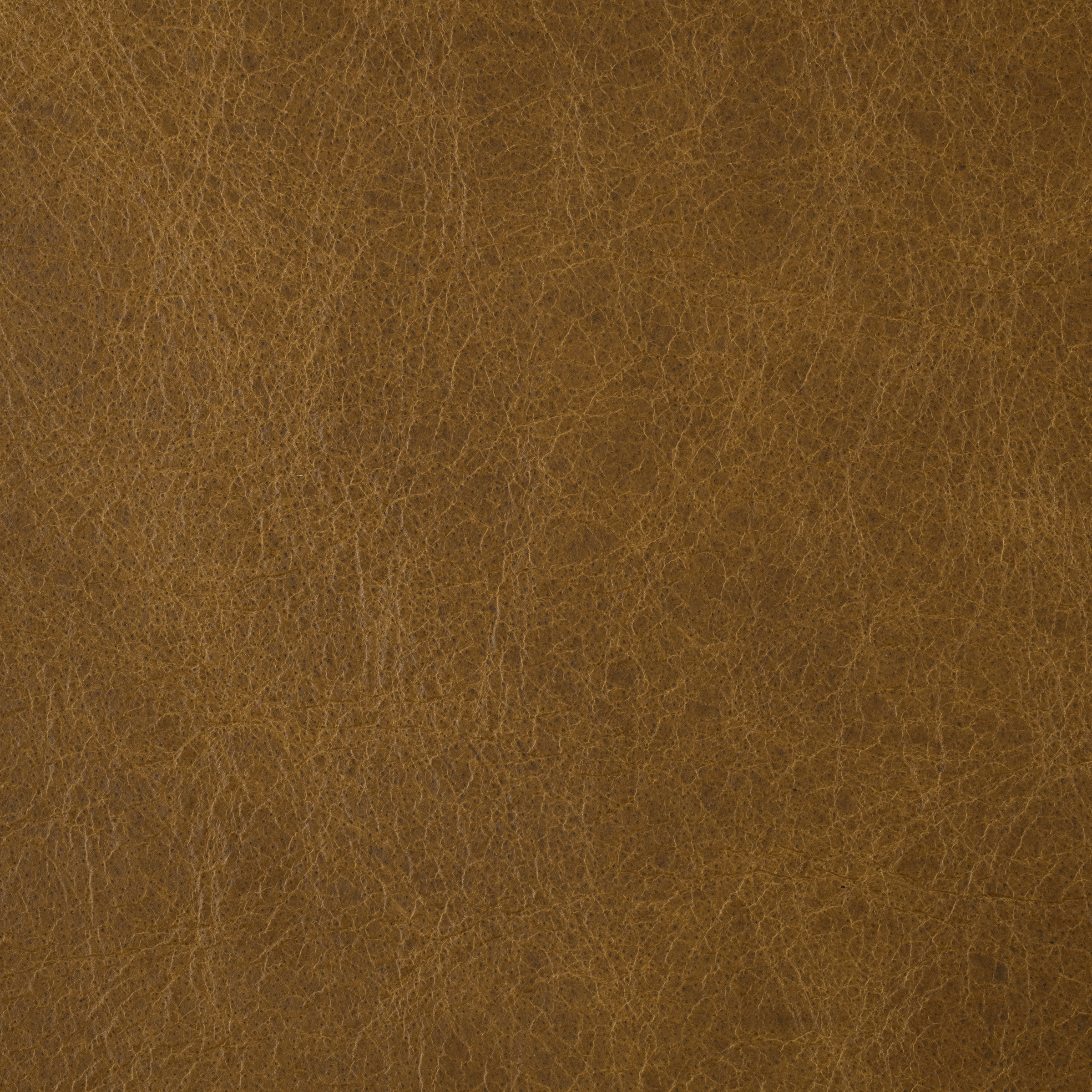 Swatch - Phoenix Tan