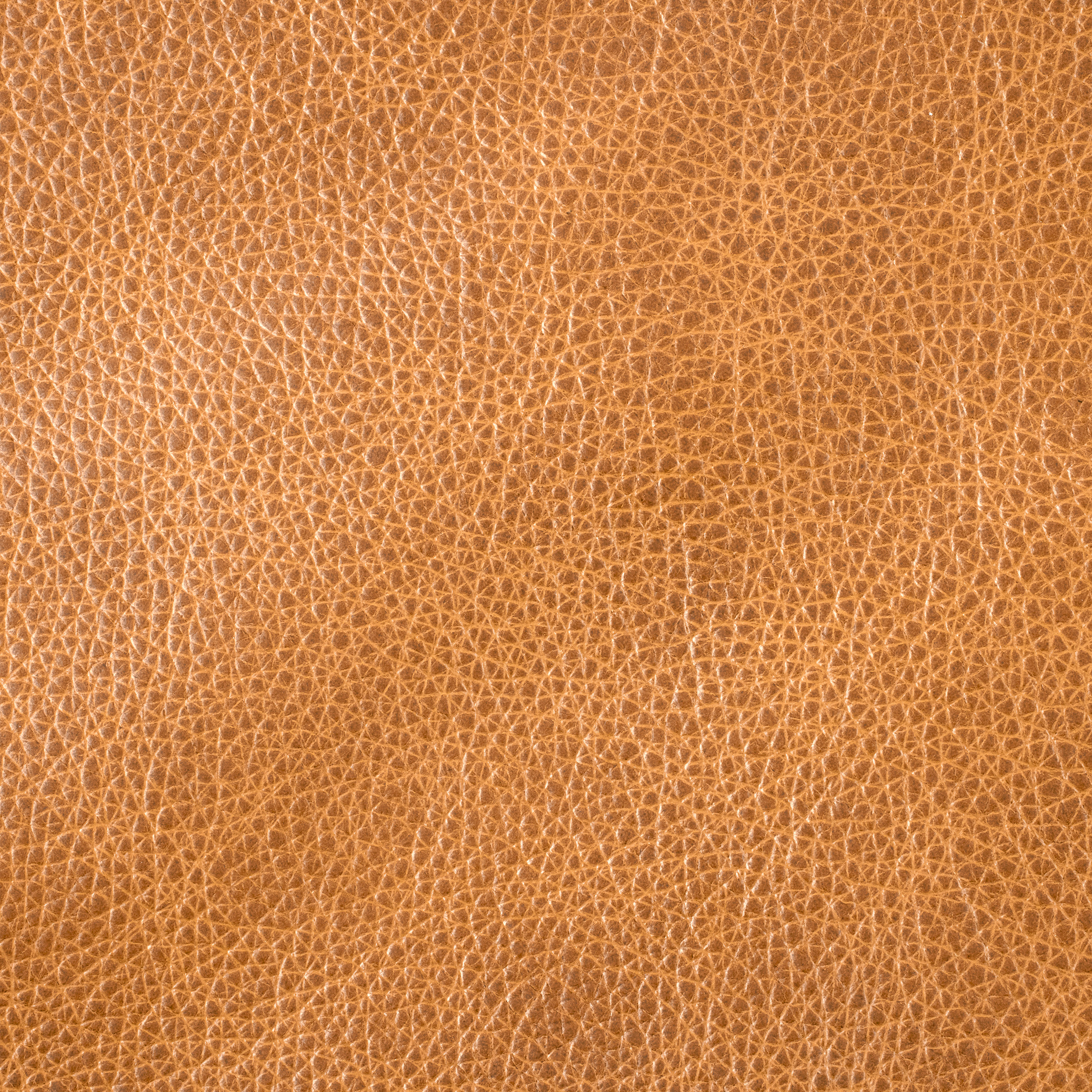 Swatch - Grange Tan