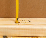 What Are Signs of Rodents in My House? | Xcluder