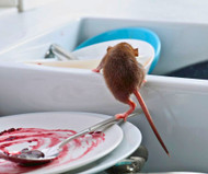 How to Seal and Weatherproof a Garage Door