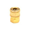 MTM Hydro 1/4" Female NPT Brass Quick Coupler