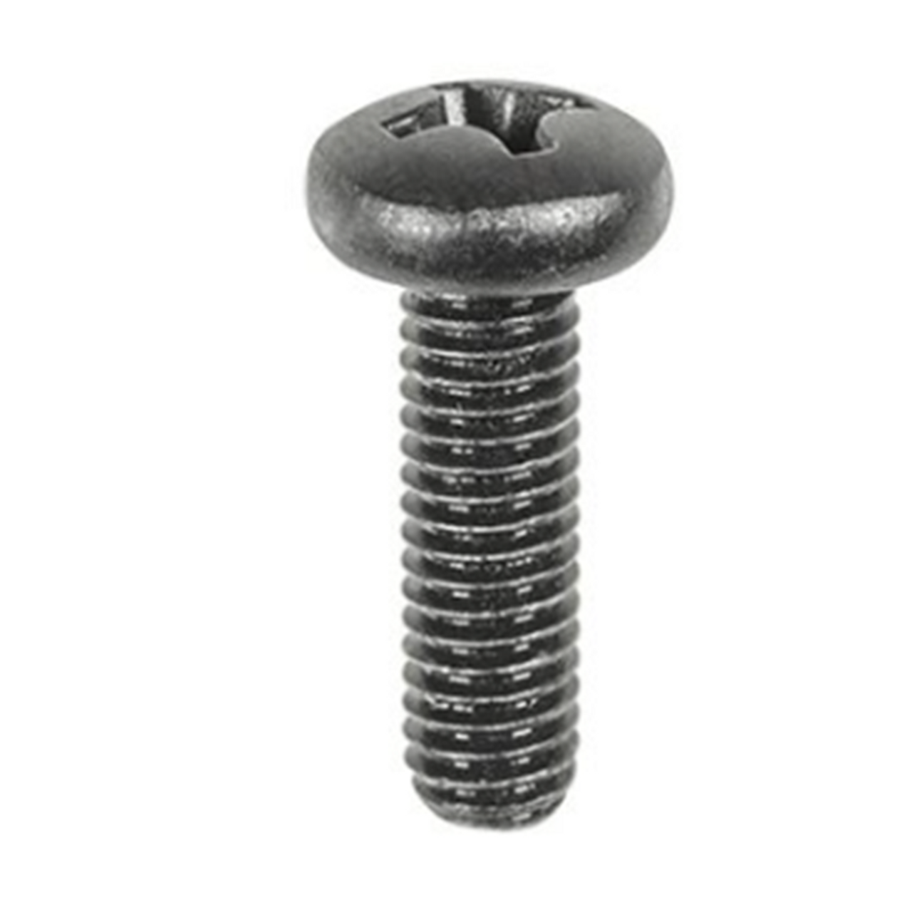 Phillips Pan License Plate Screw M6-1.0 x 20mm Black