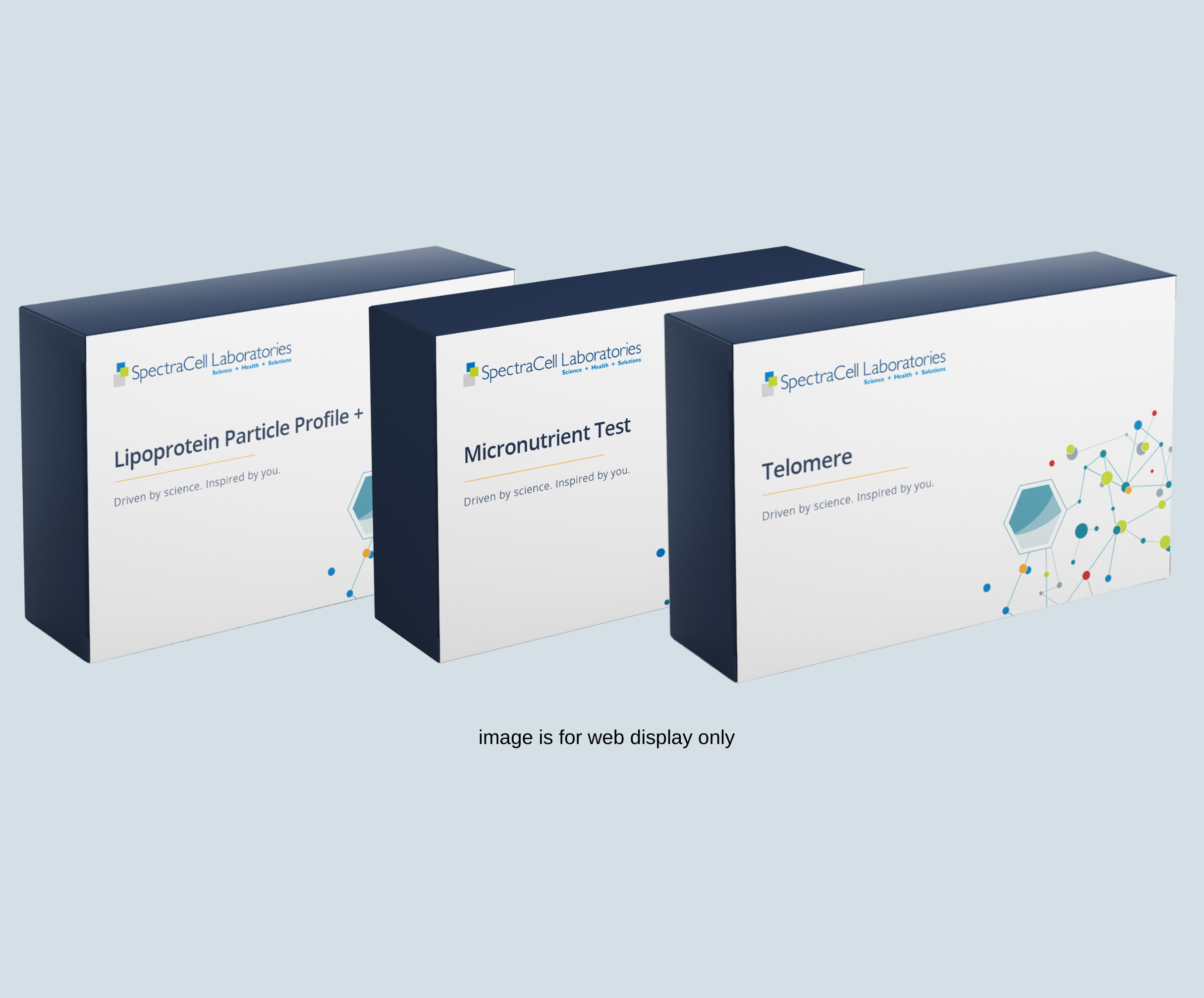 Comprehensive Micronutrient Test