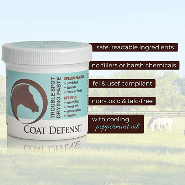 COAT DEFENSE Trouble Spot Drying Paste for Horses