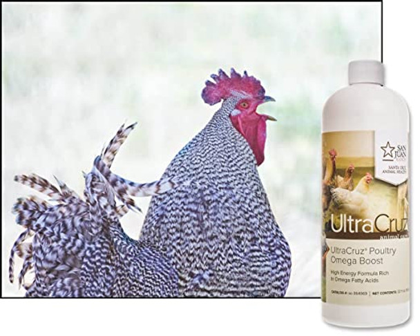 Poultry Omega Boost Supplement