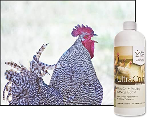 Poultry Omega Boost Supplement