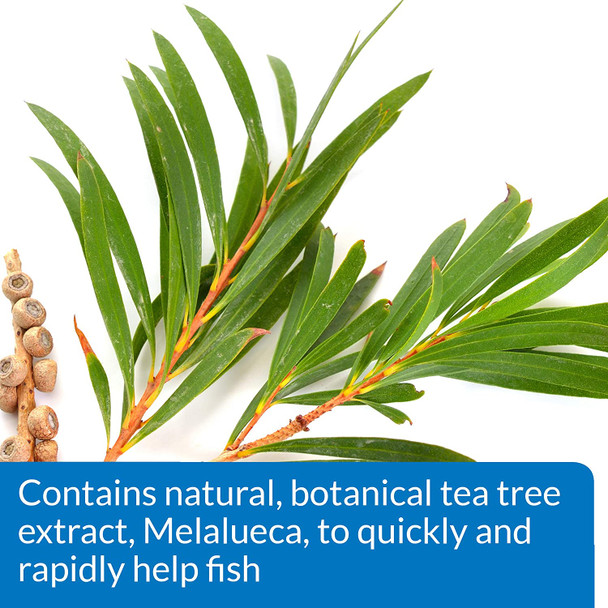 Fish Remedy, Contains Natural Tea Tree Extract