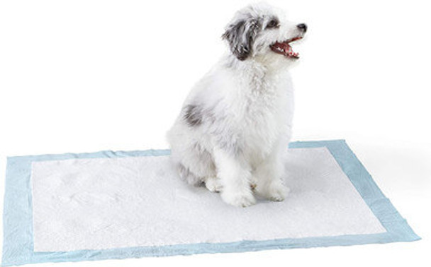 Amazon Basics Dog and Puppy Pee Pads