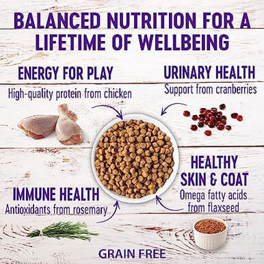 Wellness Complete Health Grain-Free Indoor Deboned Chicken Recipe Dry Cat Food