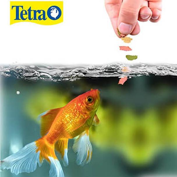 TetraFin Goldfish Flakes 7.06 Ounces