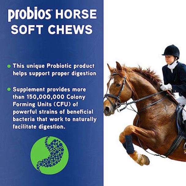 Probios Horse Soft Chews, Apple flavor