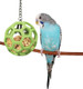 JW Pet Company Activitoys Hol-ee Roller Parrot Toy, 4 Inch Diameter