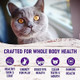 Wellness Complete Health Grain-Free Indoor Deboned Chicken Recipe Dry Cat Food