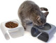 Blue Buffalo Tastefuls Active Natural Adult Dry Cat Food