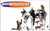 1-800-PetSupplies's logo