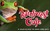 Rainforest Cafe Restaurant US's logo