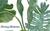 Tommy Bahama 's logo