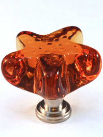 Starfish Amber Knob (CAL-ARTX S4A-SN)