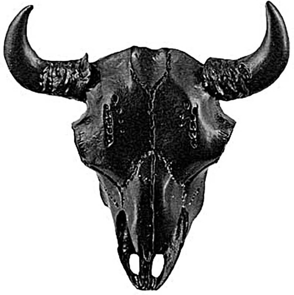 2-3/4" Buffalo Skull Knob - Black