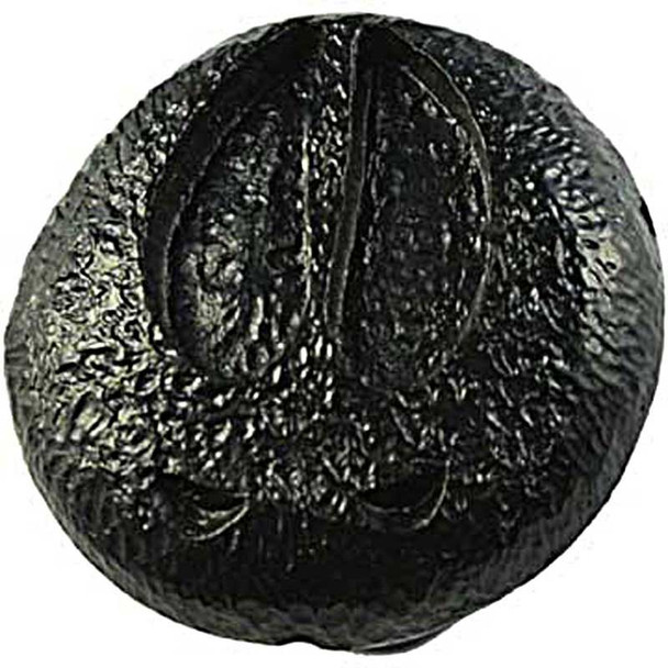 1-1/2" Dia. Round Big Game Track Knob - Black