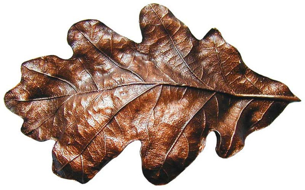 Oak Leaf (NHBP844-AC)