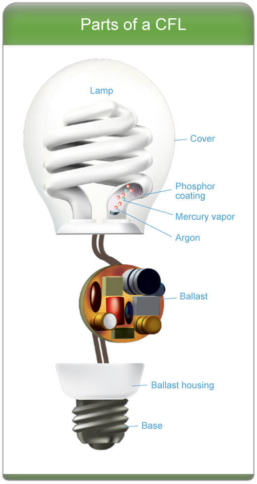Parts of a Compact Fluorescent Light Bulb Parts of a Compact Fluorescent Light Bulb