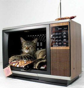 Repurposed Microwave makes a cat bed Repurposed Microwave makes a cat bed