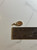 Oval Pendant with 22KT Loose Gold Crumbs, Gold Filled Case and Bail with Gold Nuggets, Funky Shaking Gold Dust Nugget See-Through Pendant