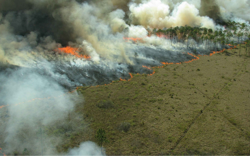 Aerial view of a spreading wildfire in a grassy and forested region—highlighting the need for rapid response fire suppression trailers.