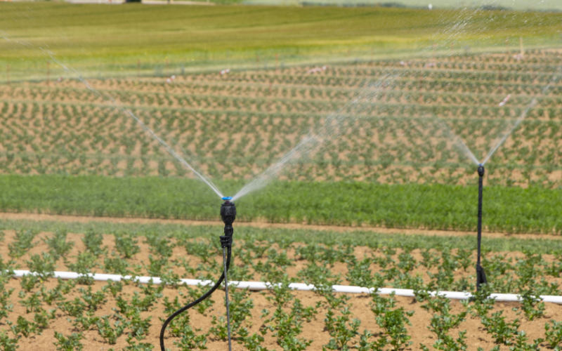 rainwater collection for farms