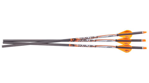 Flèches lumineuses Ravin .001 Premium Match-Grade, lot de 3
