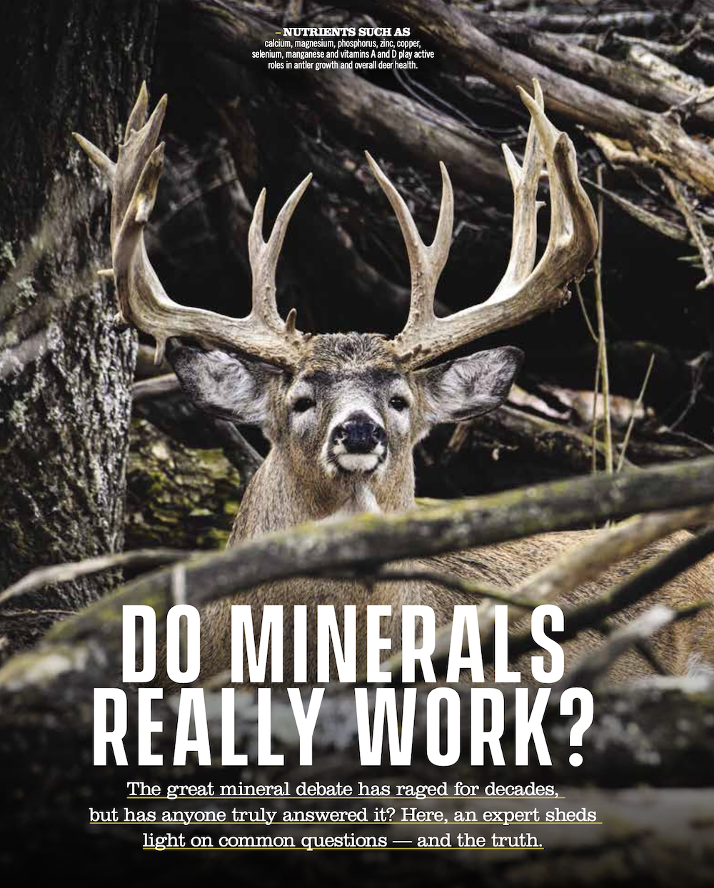 do-minerals-really-work-cover.png