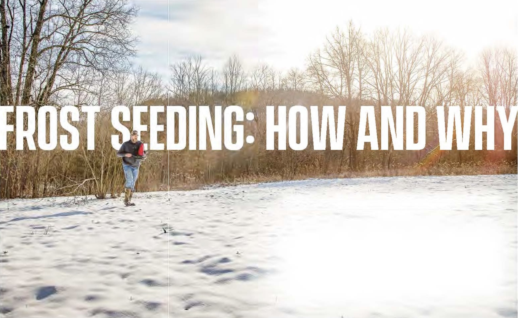 frost-seeding.jpg
