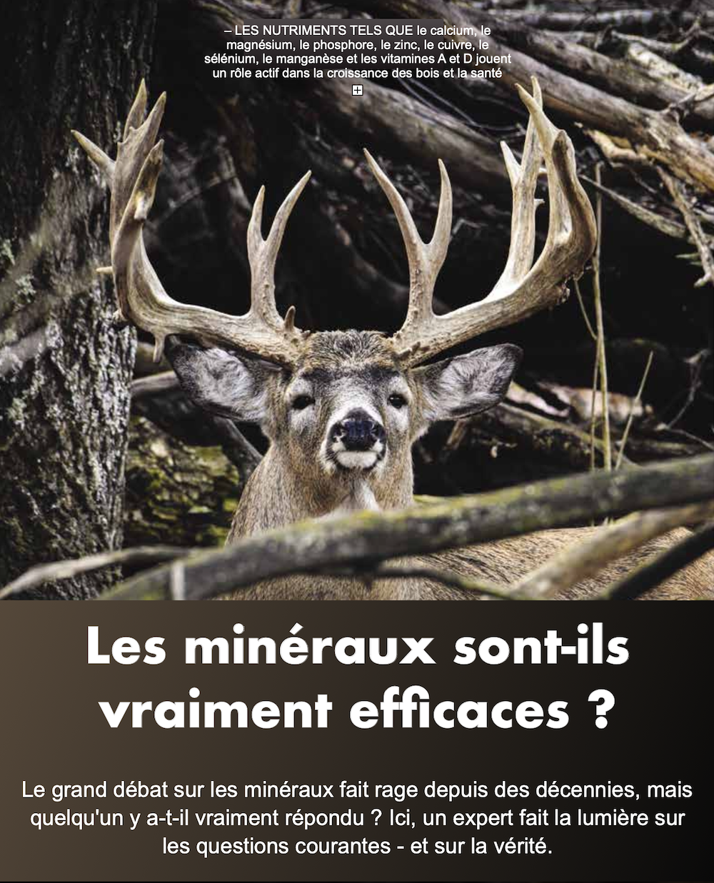 les-min-raux-sont-ils-vraiment-efficaces-cover.png