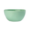 Everyday Bowl - Mint