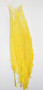 Nandu Ostrich Feathers 18 inch - Yellow