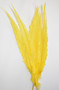 Nandu Ostrich Feathers 18 inch - Yellow