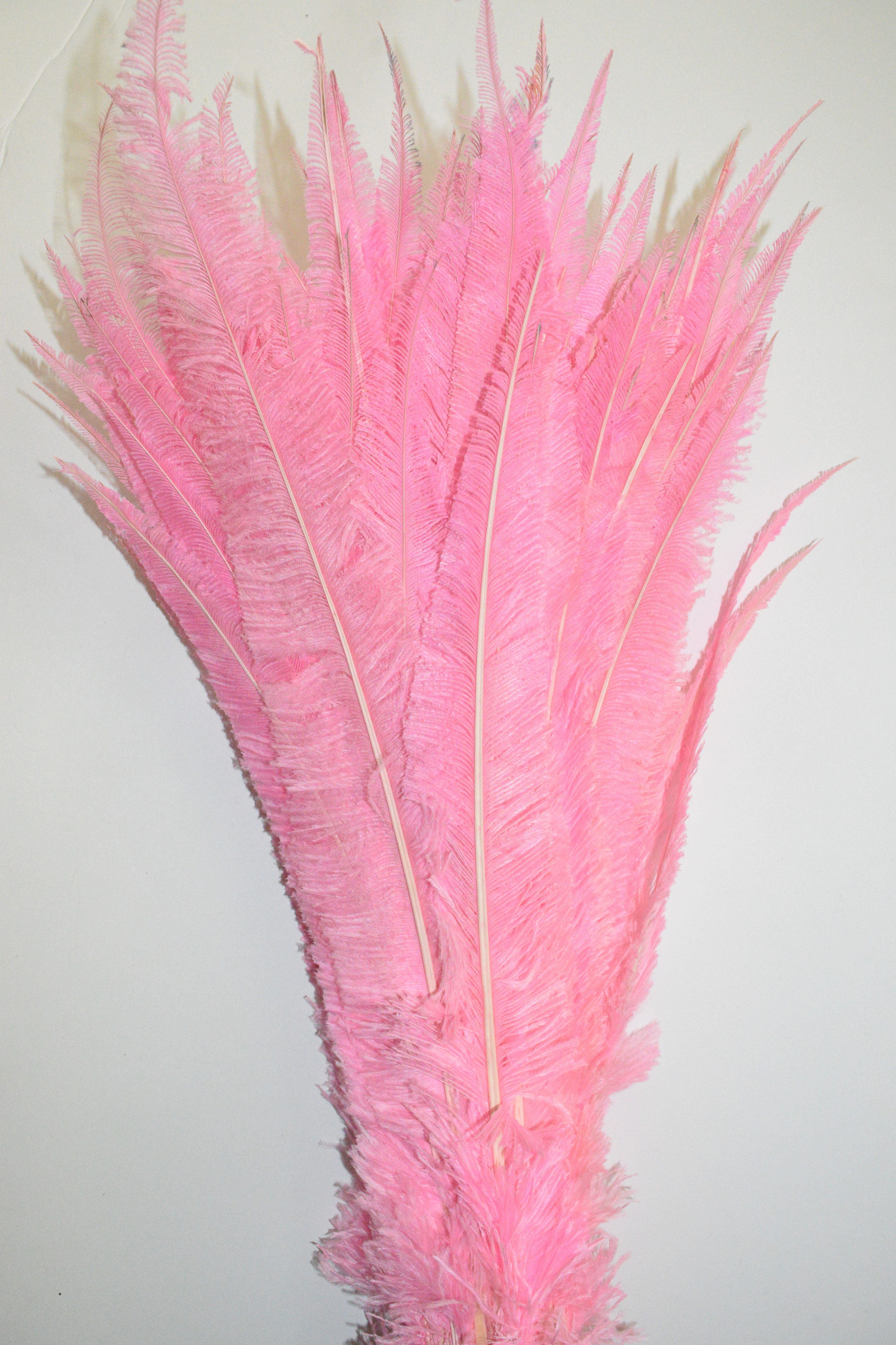 Nandu Ostrich Feathers 18 inch - Light Pink - Shi'dor