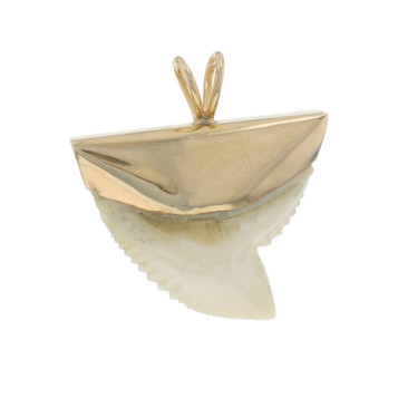 Yellow Gold Tiger shark tooth Men's Pendant - 14k Ocean Life