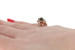 Le Vian Smoky Quartz & Diamond Halo Ring - 14k Rose Gold Cushion 1.20ctw Le Vian Smoky Quartz & Diamond Halo Ring - 14k Rose Gold Cushion 1.20ctw