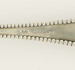 Galesburg High School Illinois Souvenir Spoon Sterling Silver Collectors Vintage Galesburg High School Illinois Souvenir Spoon Sterling Silver Collectors Vintage